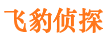 望城市婚外情调查